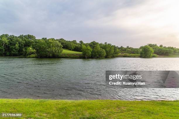 beautiful summer lake scenery - margem do rio imagens e fotografias de stock