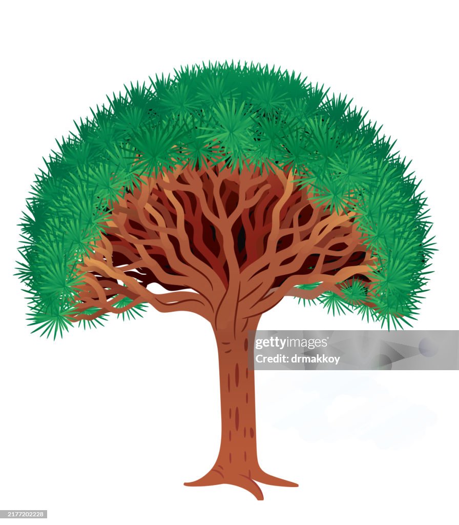 Dragon tree, Blood Dragon tree