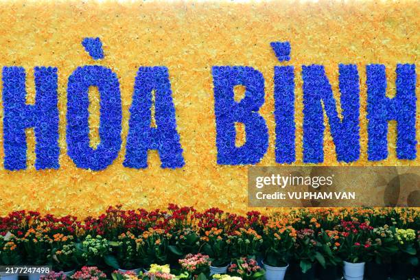festive flower decoration on hanoi street for 70th capital liberation day - 70th anniversary stock pictures, royalty-free photos & images
