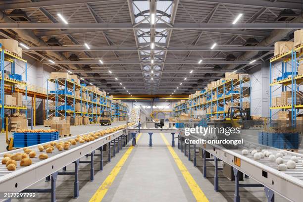primo piano di patate e cipolle sulla linea di produzione in fabbrica - fabbrica di produzione alimentare foto e immagini stock