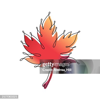 Autumn Maple Leaf Continuous Line Drawing with Editable Stroke and Color Elements Autumn Maple Leaf Continuous Line Drawing with Editable Stroke and Color Elements