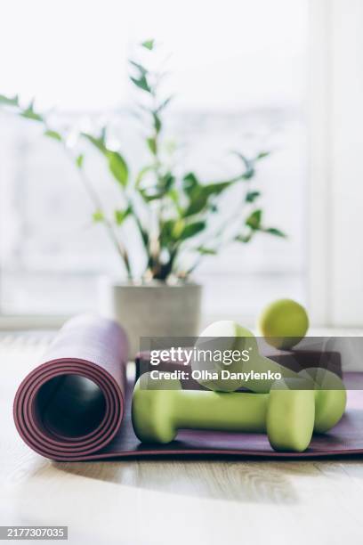 a pair of dumbbells on an exercise mat. fitness, wellness and home work out concept - tapis de sol photos et images de collection