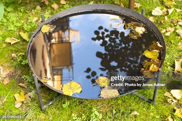 the circular watermirror - agua estancada fotografías e imágenes de stock