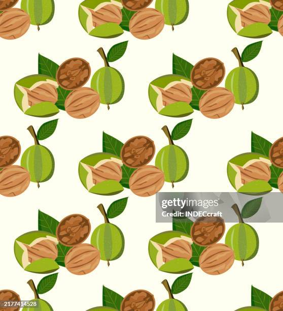 walnut seamless pattern - empty walnut shell stock illustrations