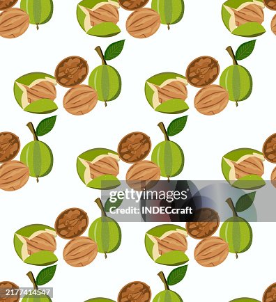 Walnut seamless pattern Walnut seamless pattern