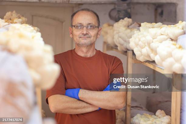 dedicated healthcare professional - diabetes neuropathy stock pictures, royalty-free photos & images