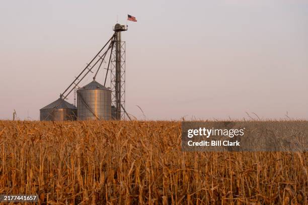 Grain bin stands in a corn field in Marne, Iowa on Saturday, October 12, 2024.