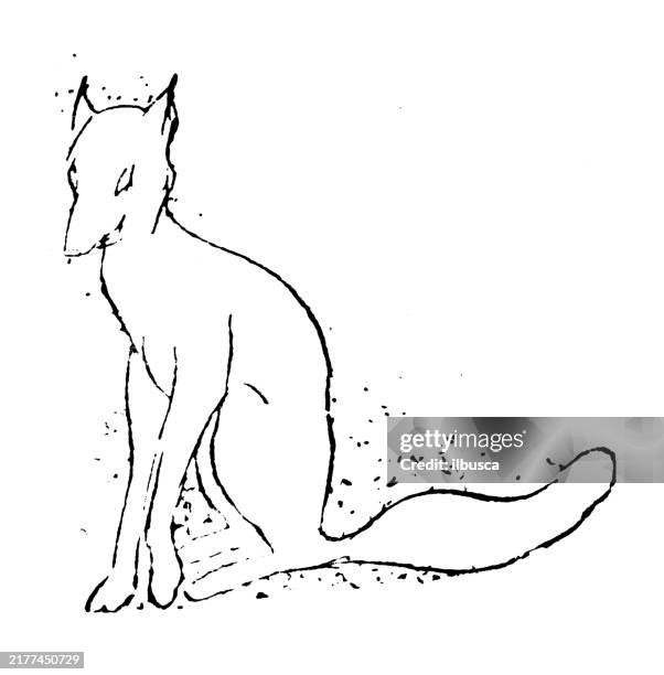 antique image: japanese novel - magical creatures stock illustrations