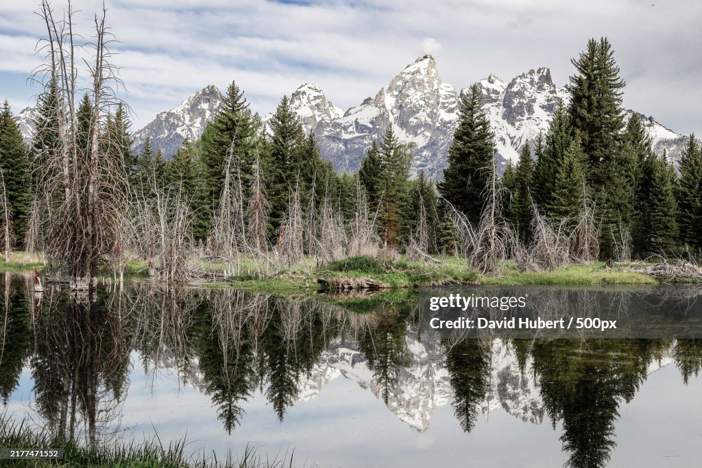 Scenic view of lake by trees against sky,Jackson,Wyoming,United States,USA