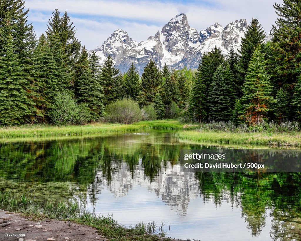 Scenic view of lake by trees against sky,Jackson,Wyoming,United States,USA