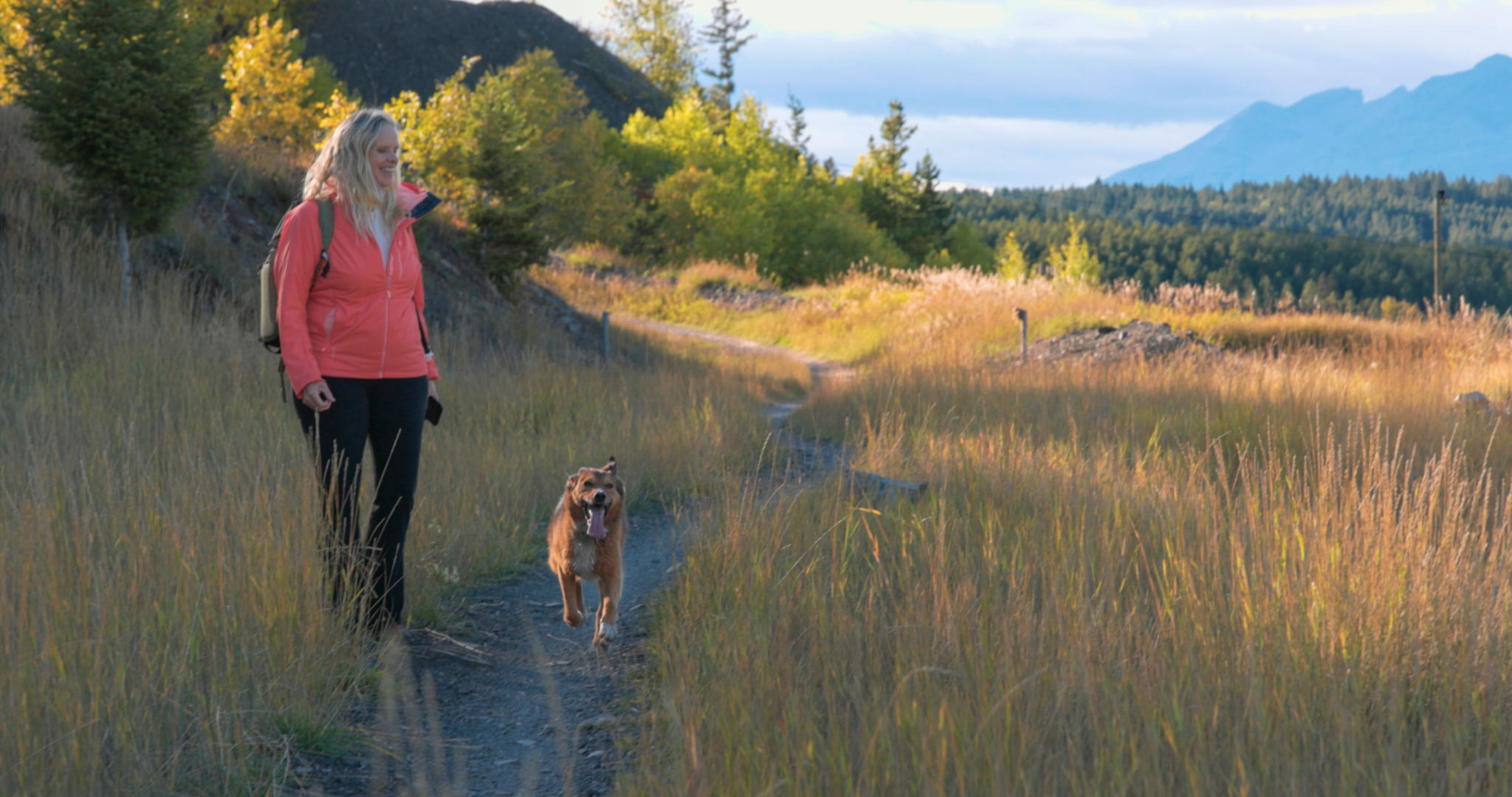 active lifestyle dog