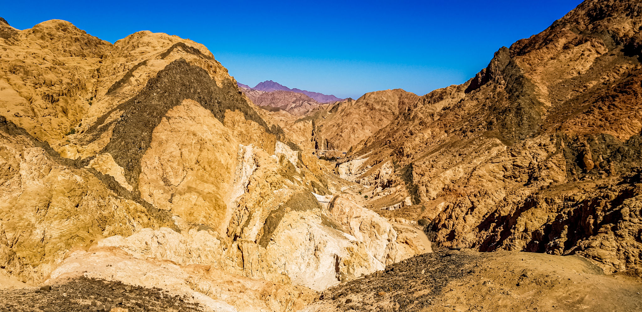 mount sinai trek