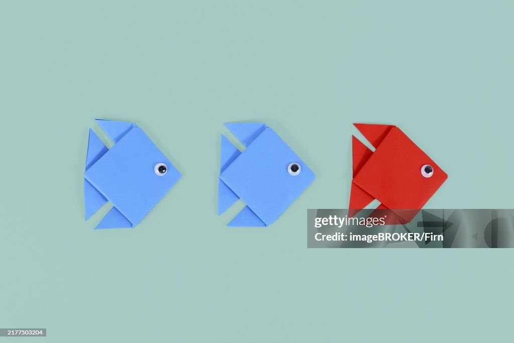 Red origami paper fish swimming in front of blue fish. Concept for discovery and strong leadership