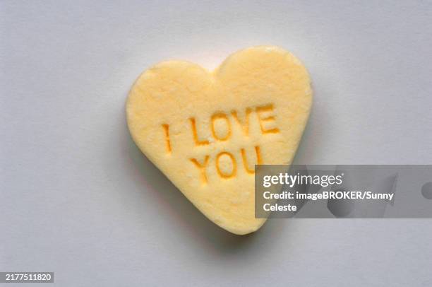 peppermint heart with the inscription i love you - candy love photos et images de collection