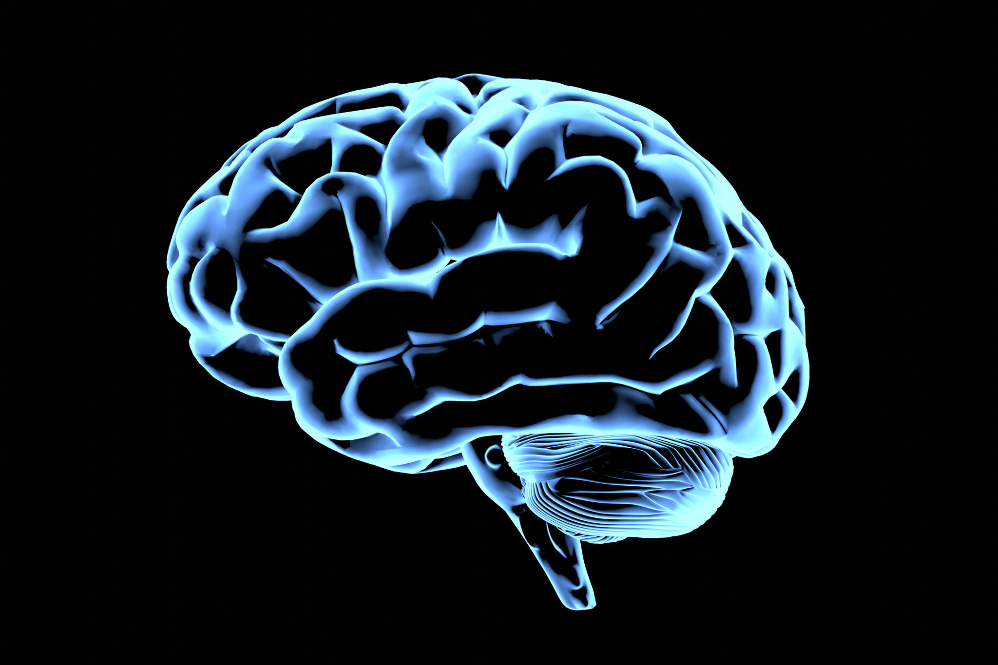 brain illustration