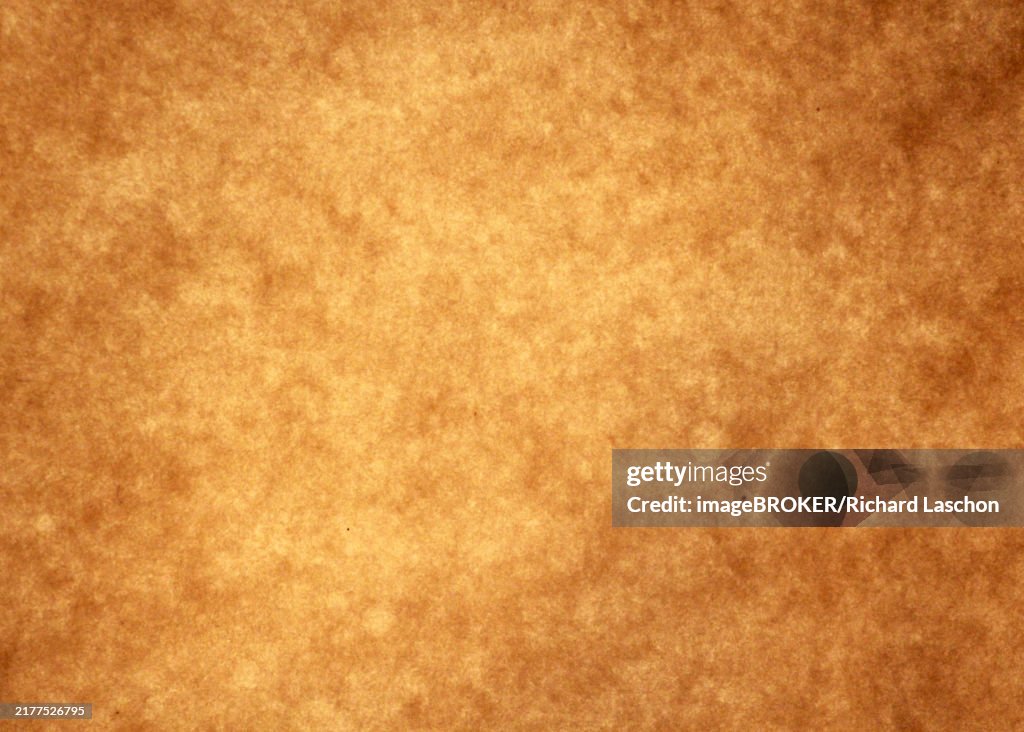 Vintage paper texture, grunge background