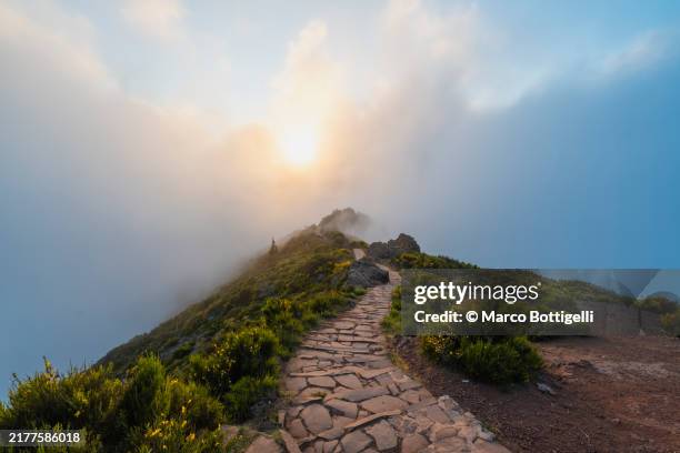paved footpath at pico do arieiro, madeira island - pico do arieiro fotografías e imágenes de stock