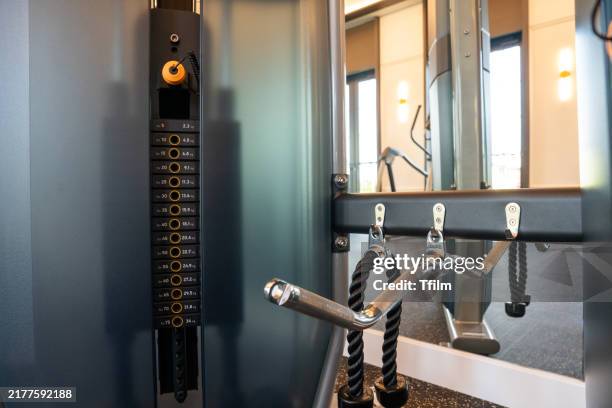 Gym Vable Machine 435 Cable Machine Workout Stock Photos, High-Res Pictures, and Images ...