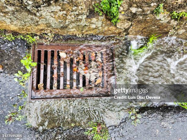 water is flowing down a residential street's storm drain - drainage stock-fotos und bilder