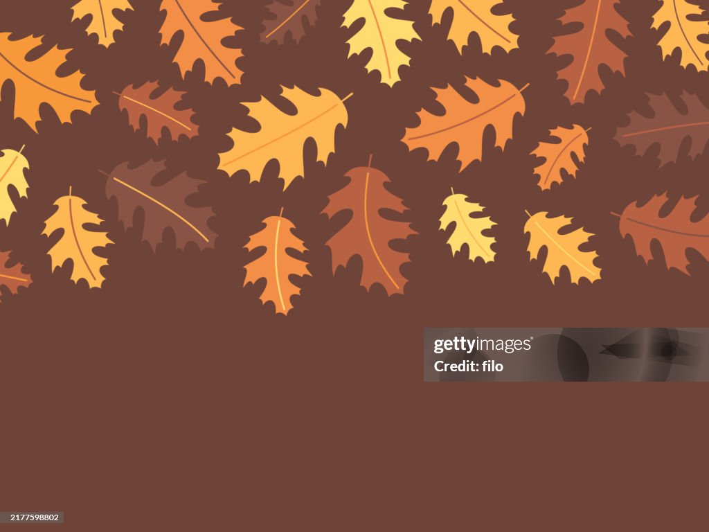 Modern Autumn Fall Oak Leaf Background