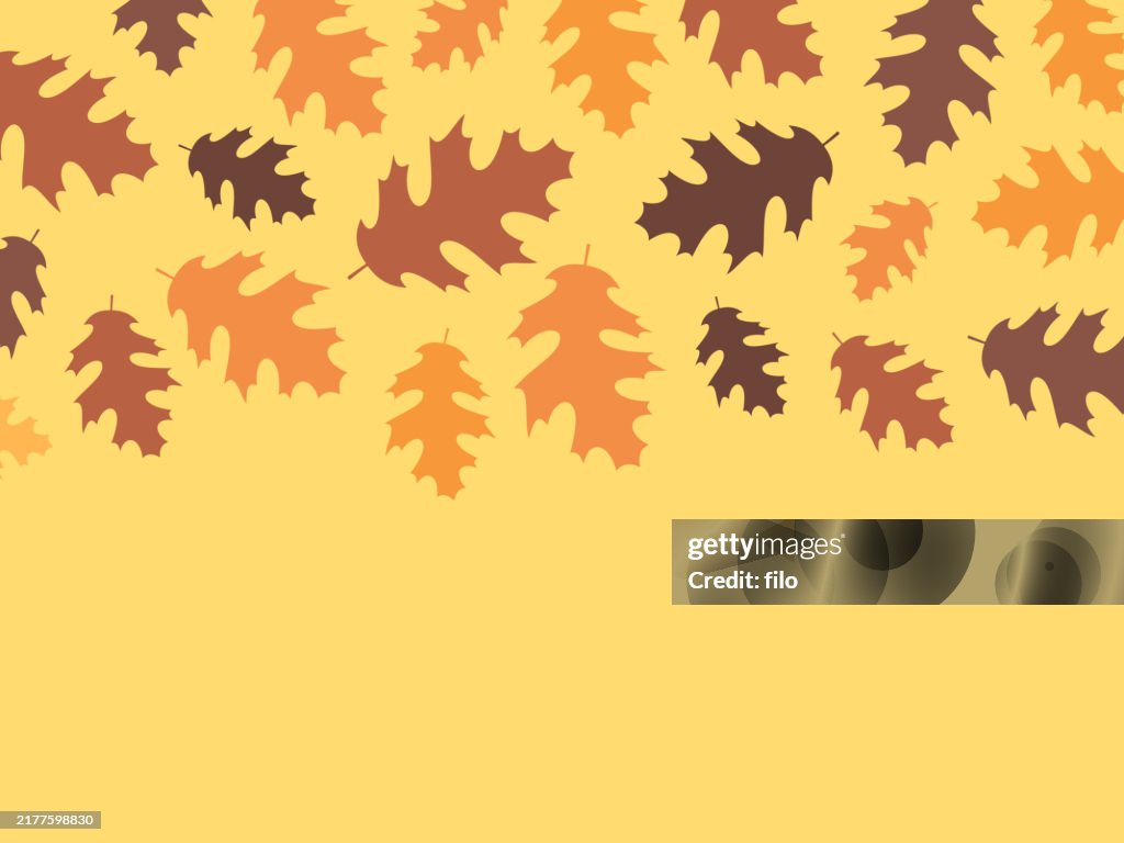 Modern Autumn Fall Oak Leaf Background