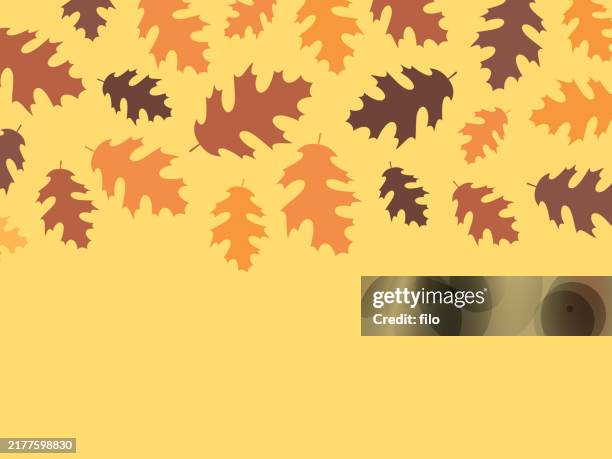 modern autumn fall oak leaf background - nature patterns top stock illustrations