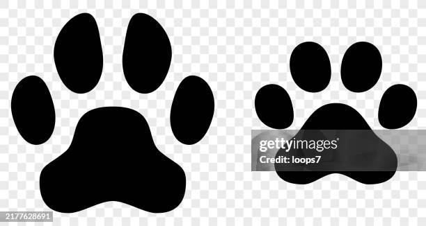 ilustraciones, imágenes clip art, dibujos animados e iconos de stock de iconos de huella de patas de perro y gato - fondo transparente