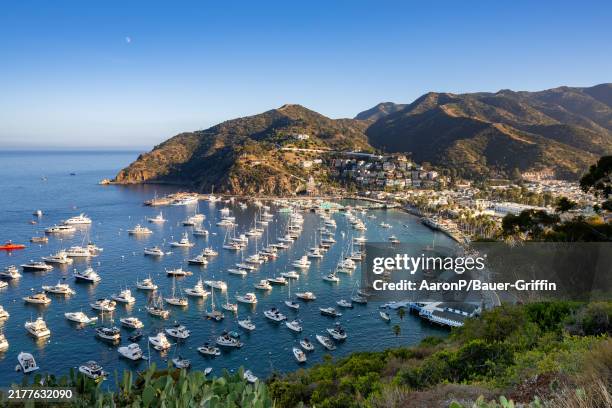General views of Avalon harbor on Santa Catalina Island on October 13, 2024 in Avalon, California.