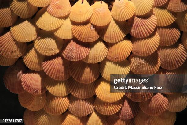 surface of yellow shells tied together - seashell decor stock pictures, royalty-free photos & images