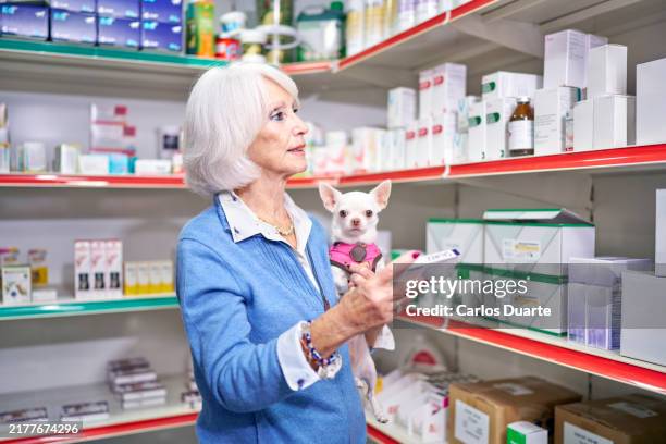 a pretty elderly woman goes to her veterinarian's pharmacy with her chihuahua dog to buy some medicine - pet shop stock pictures, royalty-free photos & images