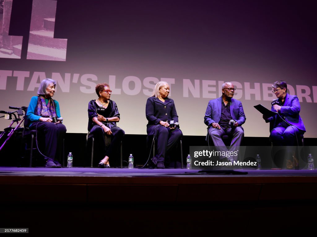 62nd New York Film Festival - "San Juan Hill: Manhattan's Lost Neighborhood" - Intro & Q&A