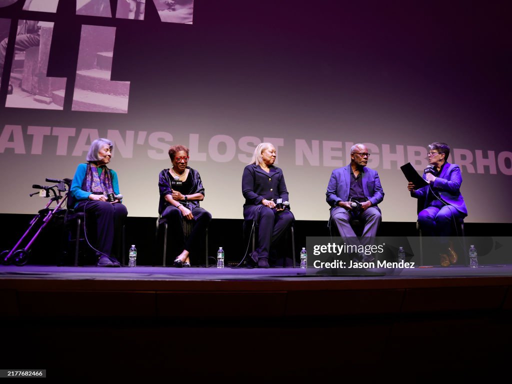 62nd New York Film Festival - "San Juan Hill: Manhattan's Lost Neighborhood" - Intro & Q&A