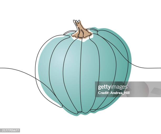 autumn acorn squah continuous line drawing with editable stroke - acorn squash stock illustrations