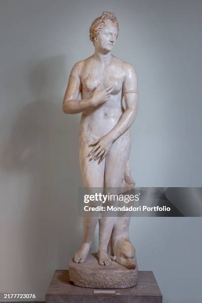 Statue of Aphrodite with portrait head, marble. Italy, Campania, Naples, Museo Archeologico Nazionale. Whole artwork view. Statue of the goddess...