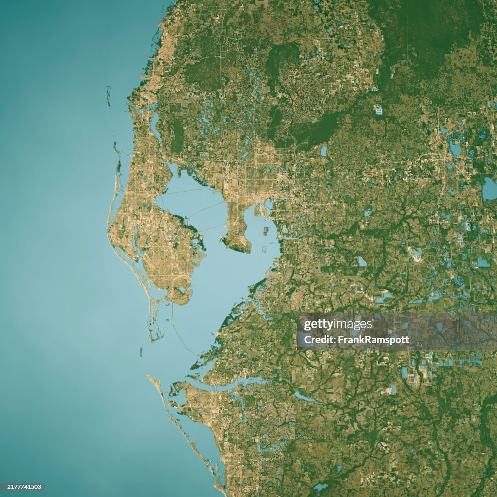 Tampa Bay Satellite Topographic Map 3D Render True Color