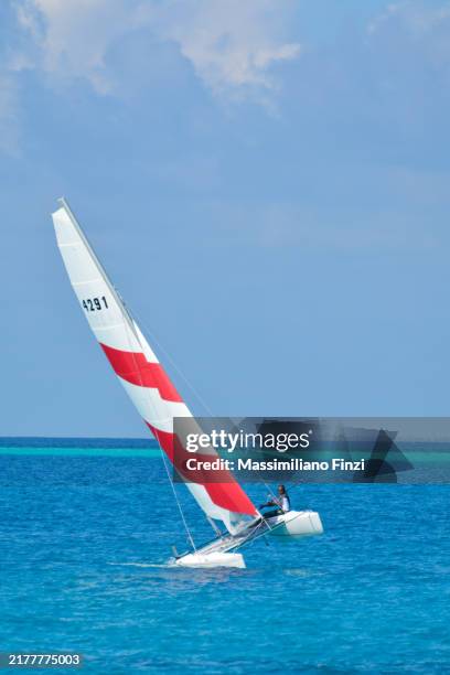 a small hobie cat catamaran or sailboat skims sailing in the turquoise water of maldives. - hobie sailors stock pictures, royalty-free photos & images