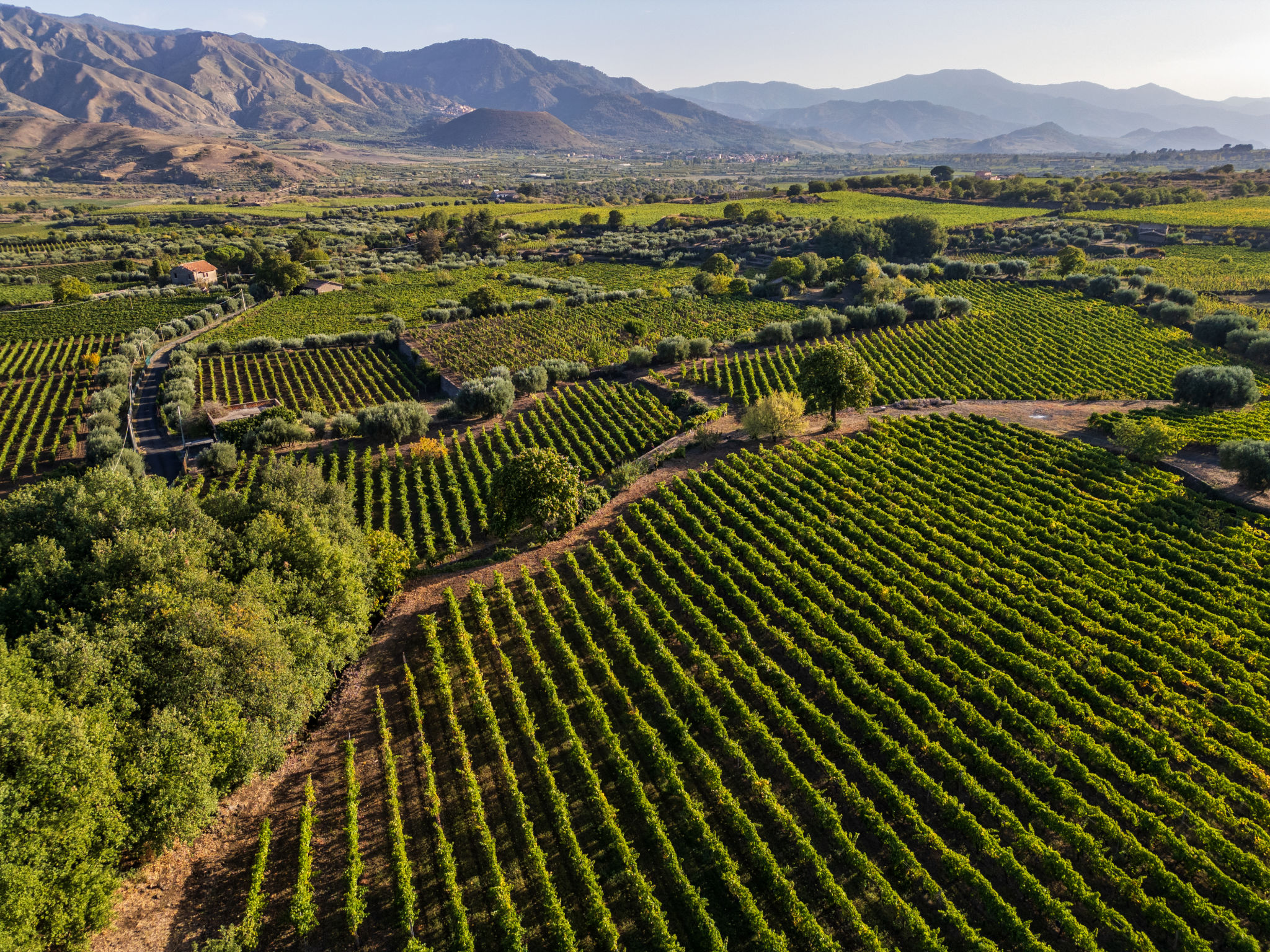 food wine tour