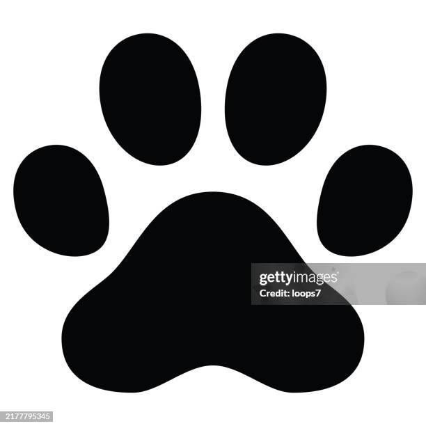 cat paw print icon - raubkatze stock-grafiken, -clipart, -cartoons und -symbole
