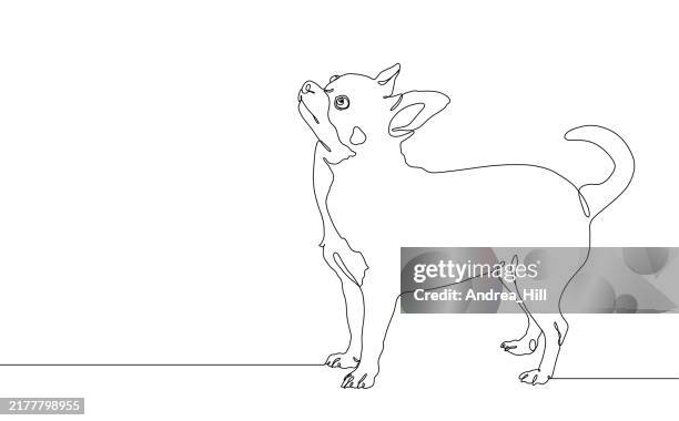 Cute Chihuahua Dog Continuous Line Drawing With Copy Space High-Res Vector Graphic