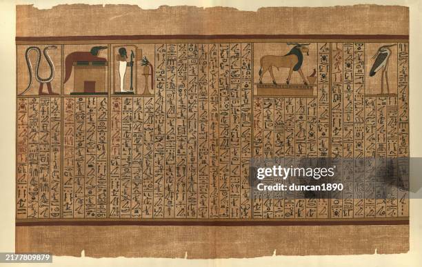 ilustraciones, imágenes clip art, dibujos animados e iconos de stock de papiro del antiguo egipto, mitología, la serpiente se-ta, cocodrilo sebak, dios ptah, carnero y la garza - cultura egipcia