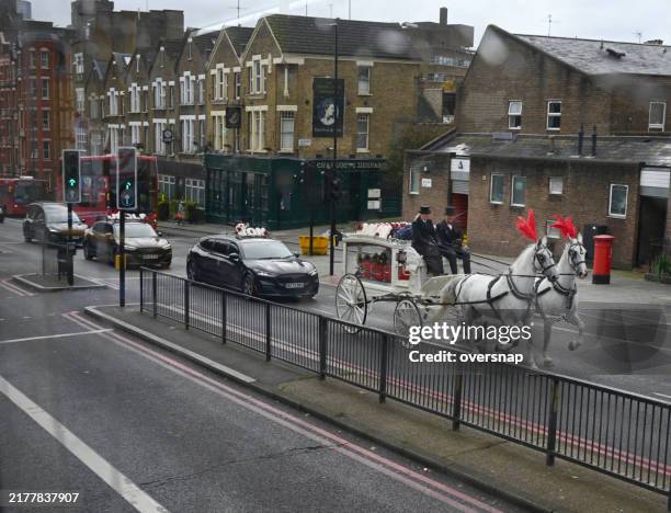 funeral with horses - hearse stock pictures, royalty-free photos & images