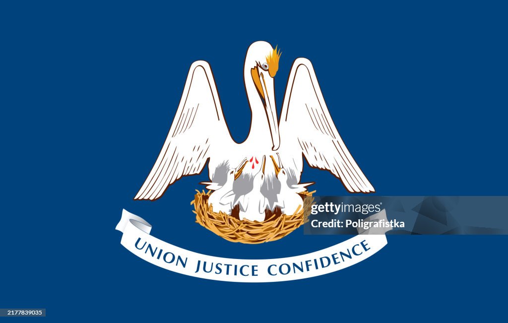 Louisiana State Flag, vector