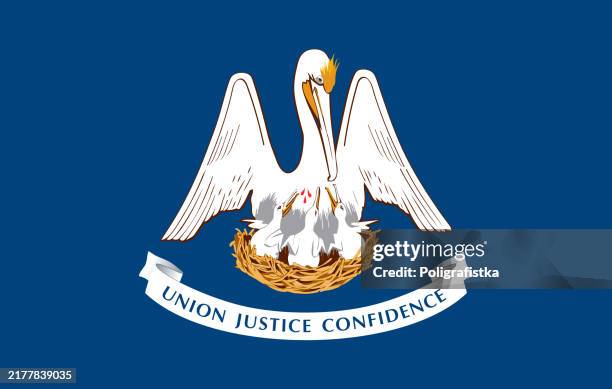 louisiana state flag, vector - louisiana state flag stock illustrations