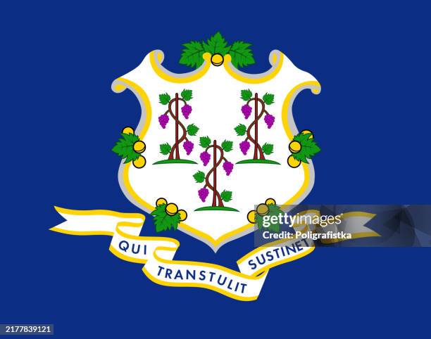 connecticut state flag, vector - connecticut stock illustrations
