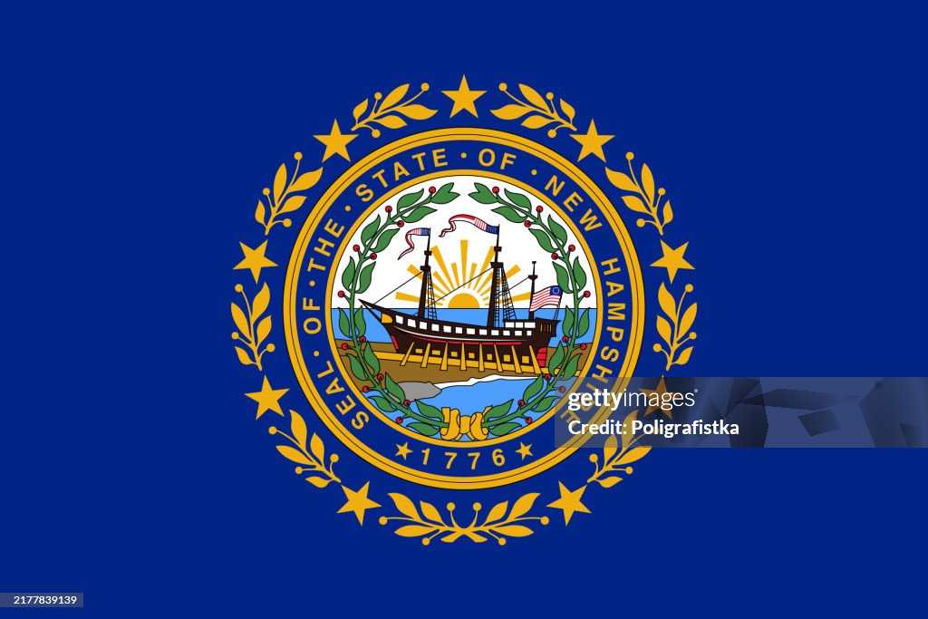 Flagge des Staates New Hampshire, Vektor