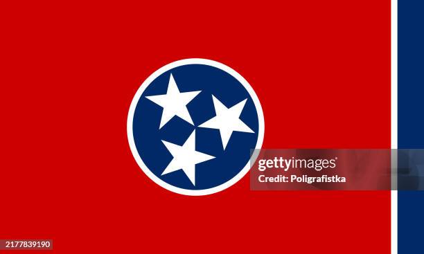 ilustraciones, imágenes clip art, dibujos animados e iconos de stock de bandera del estado de tennessee, vector - tennessee