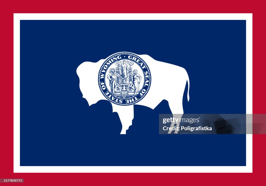 Wyoming State Flag, vector