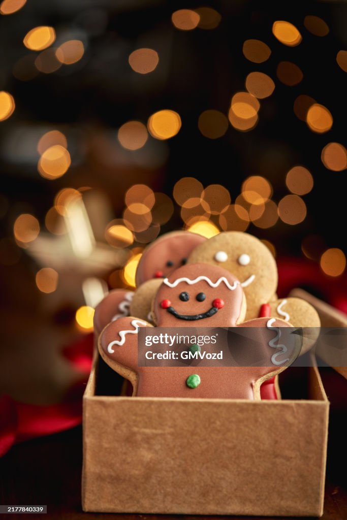 Decorated Christmas Cookies for Christmas Present