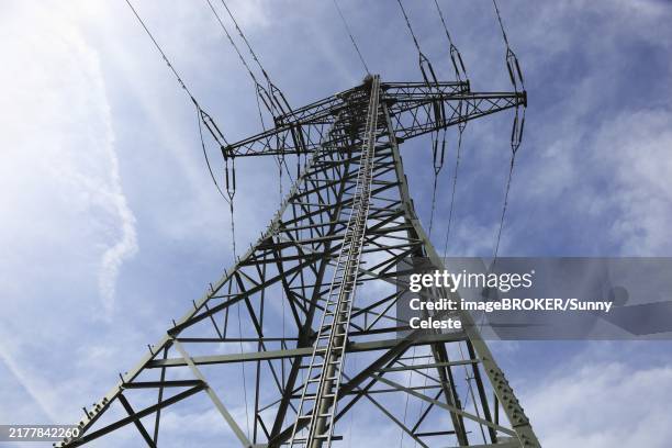 Pylon Inspection 1,812 Ladder Inspection Stock Photos, High-Res Pictures, and Images ...