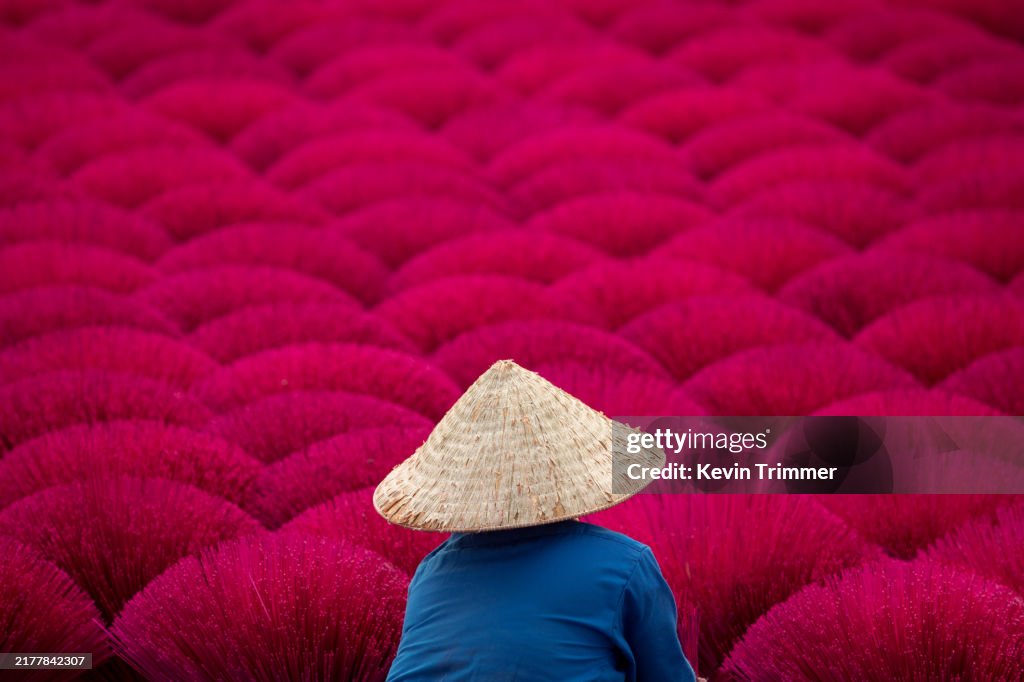 Worker in Incense Field with Conical Hat